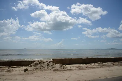 DSC_7635 (Large).JPG